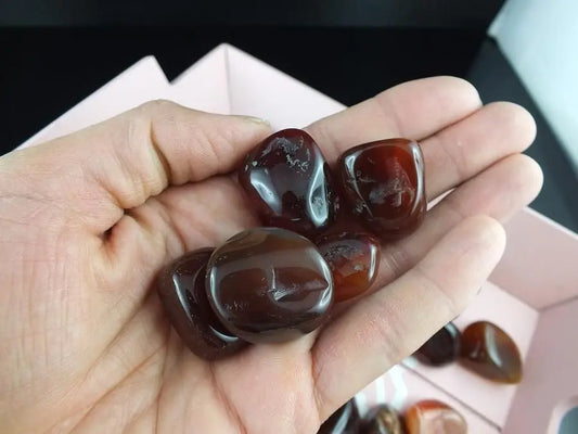 Pochon ETUDES FORMATION - Aurore Lune