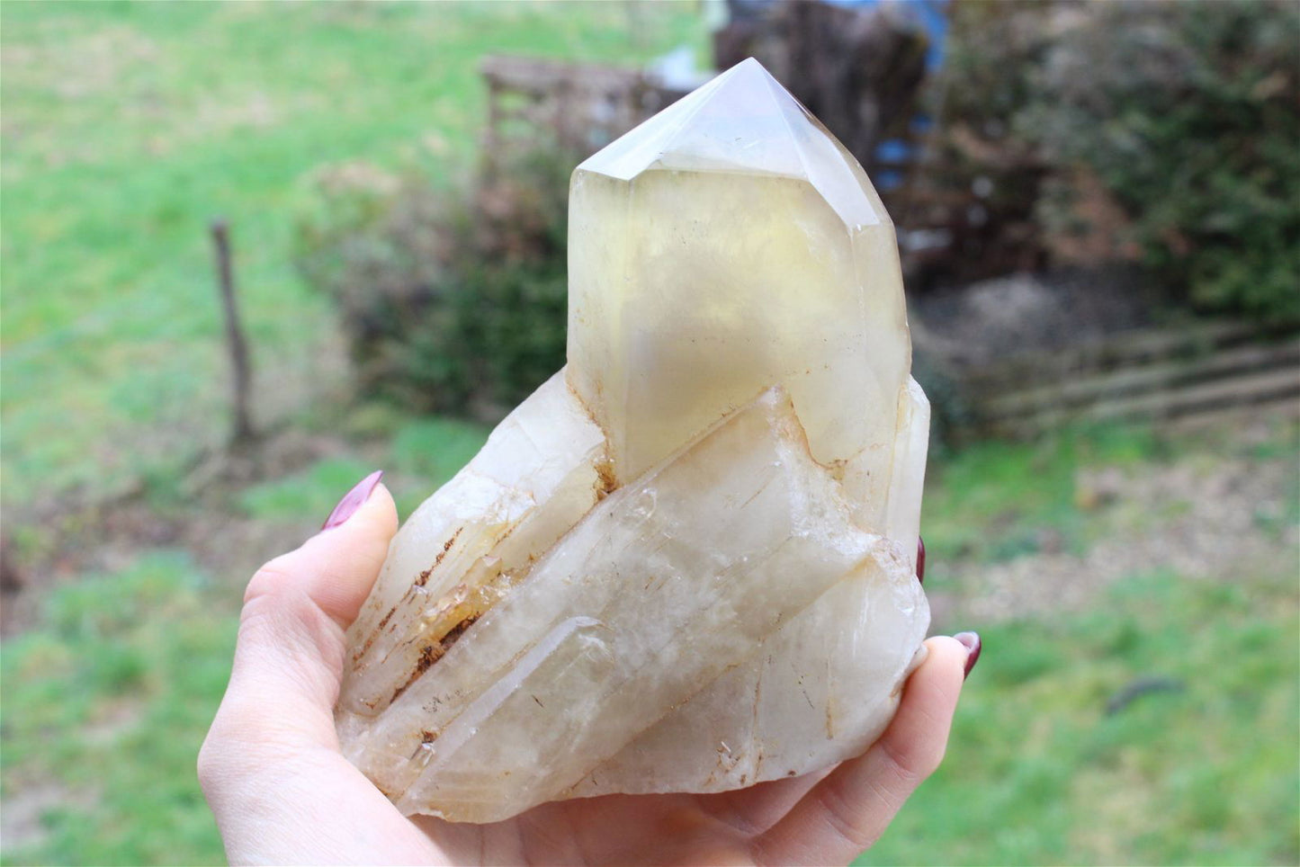 Pointe de citrine 986 grammes - Aurore Lune
