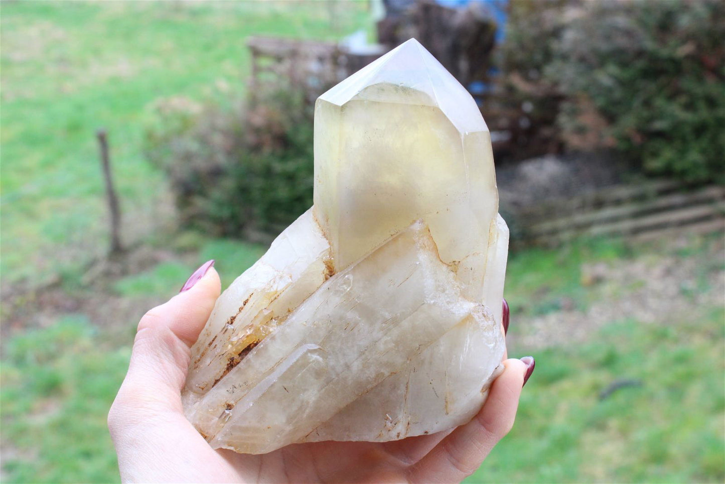 Pointe de citrine 986 grammes - Aurore Lune
