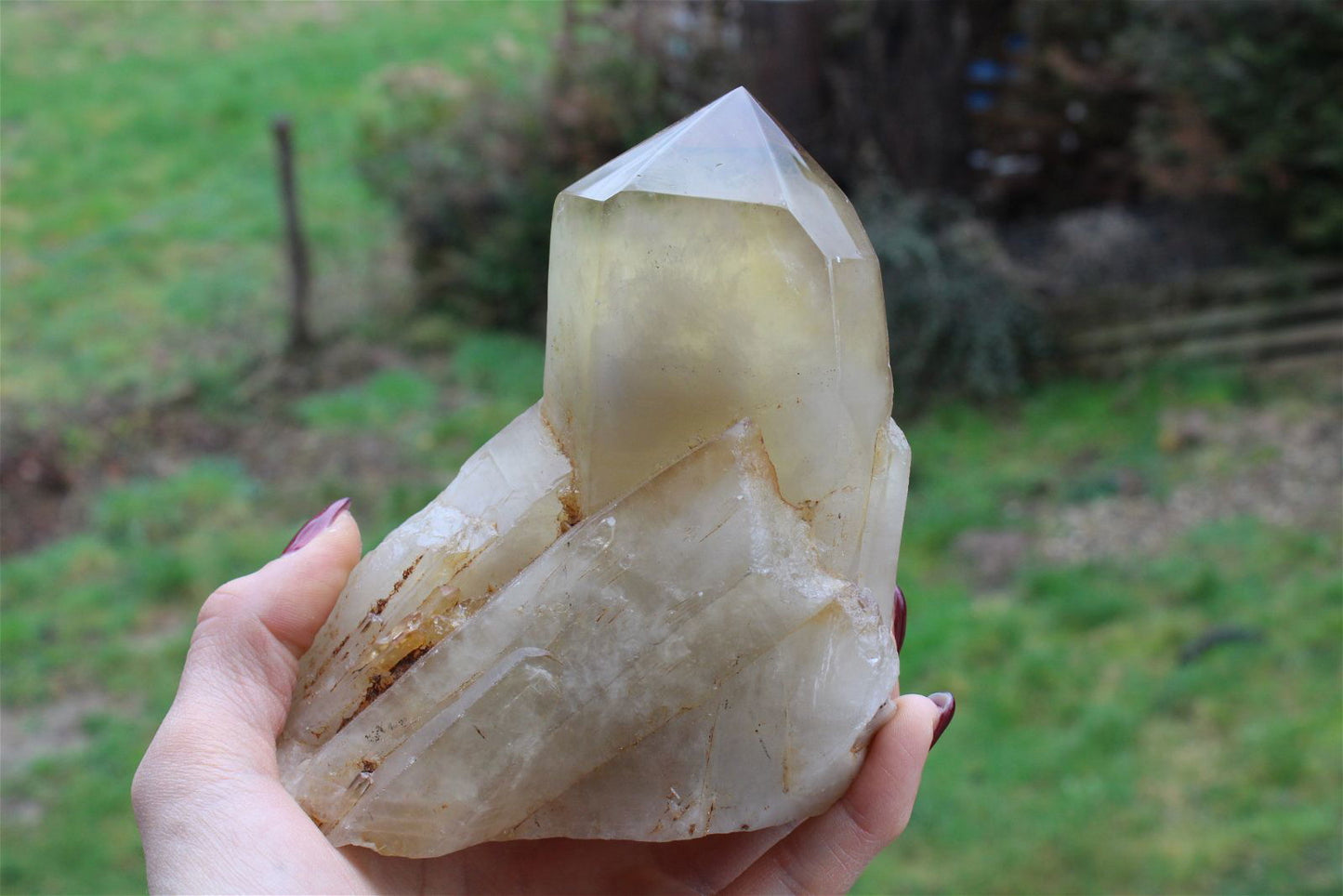 Pointe de citrine 986 grammes - Aurore Lune