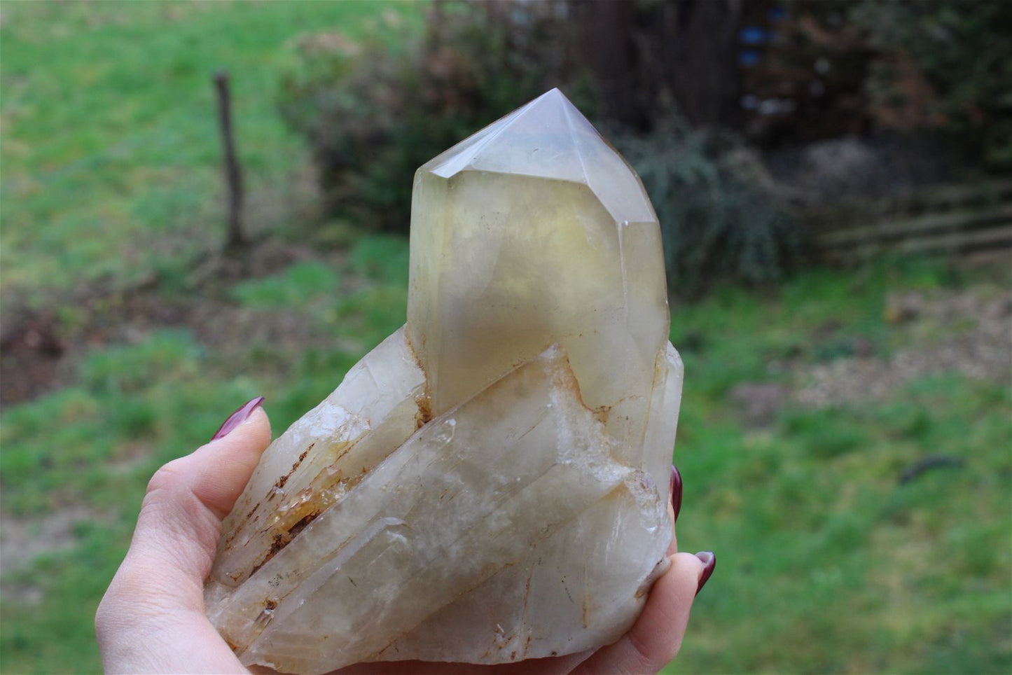 Pointe de citrine 986 grammes - Aurore Lune