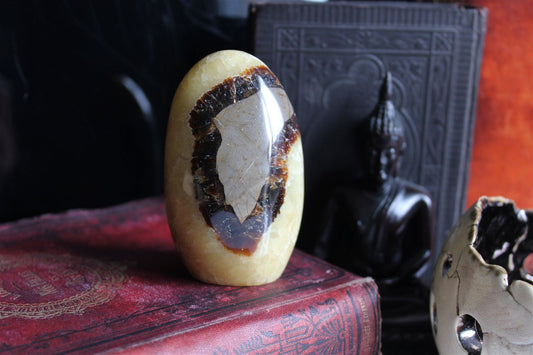 Septaria à poser - Aurore Lune