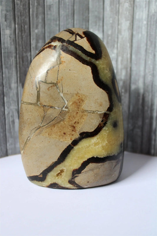 Septaria à poser 1.3 kg 14 cm - Aurore Lune