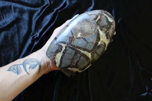 Septaria à poser 1.713 kg choisir COLIS - Aurore Lune