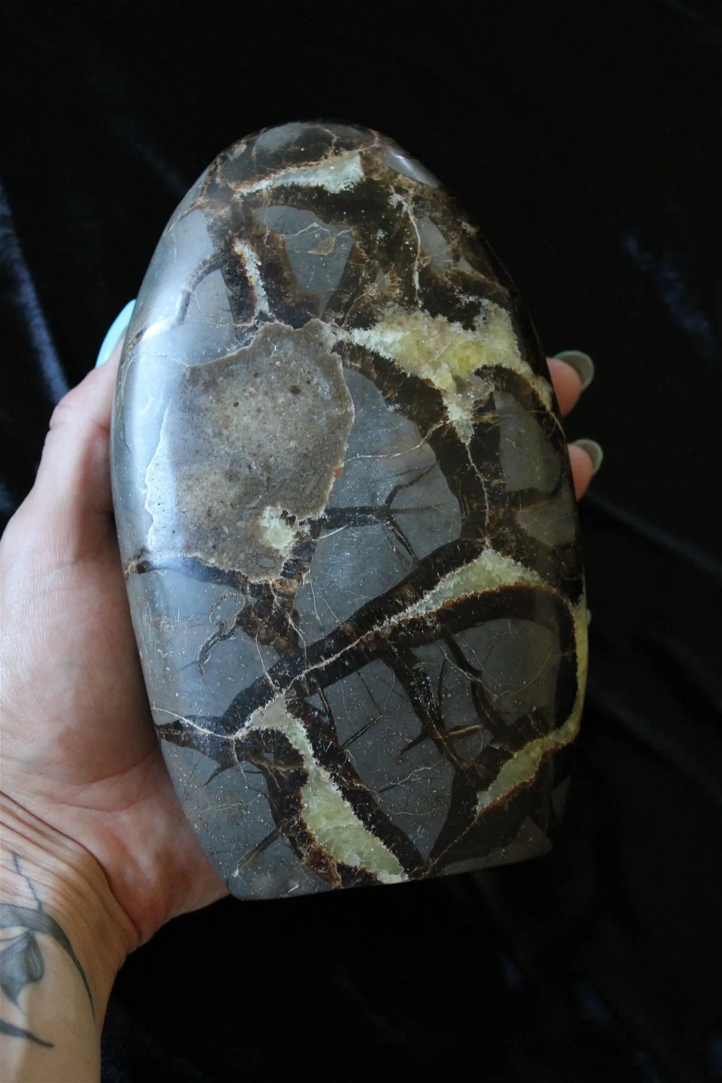 Septaria à poser 1.713 kg choisir COLIS - Aurore Lune