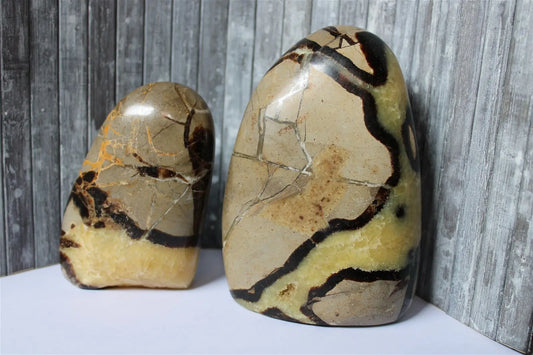 Septaria à poser 11 cm 578 grammes - Aurore Lune