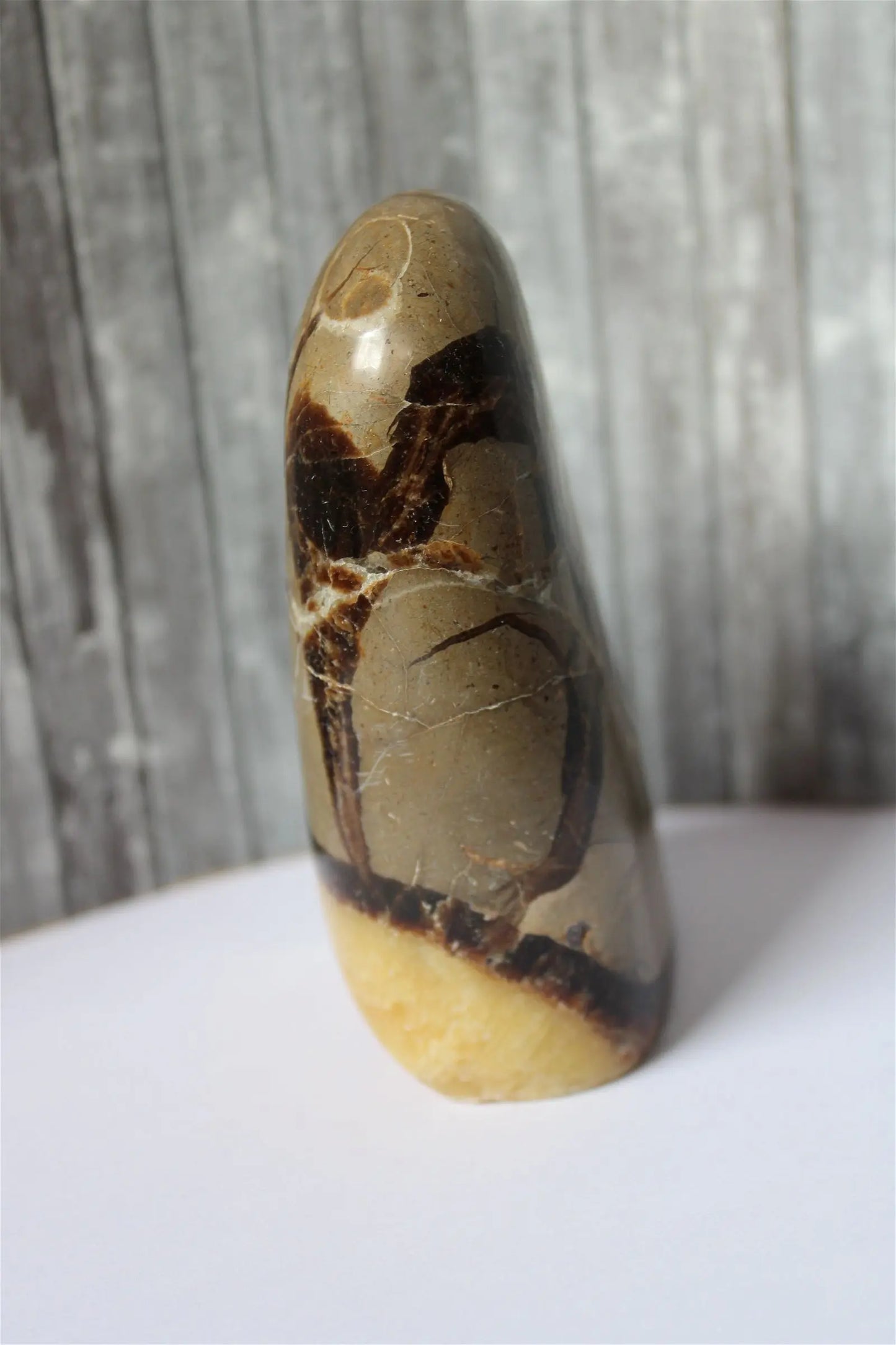 Septaria à poser 11 cm 578 grammes - Aurore Lune
