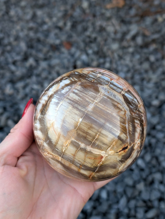 Sphère bois fossile - Aurore Lune