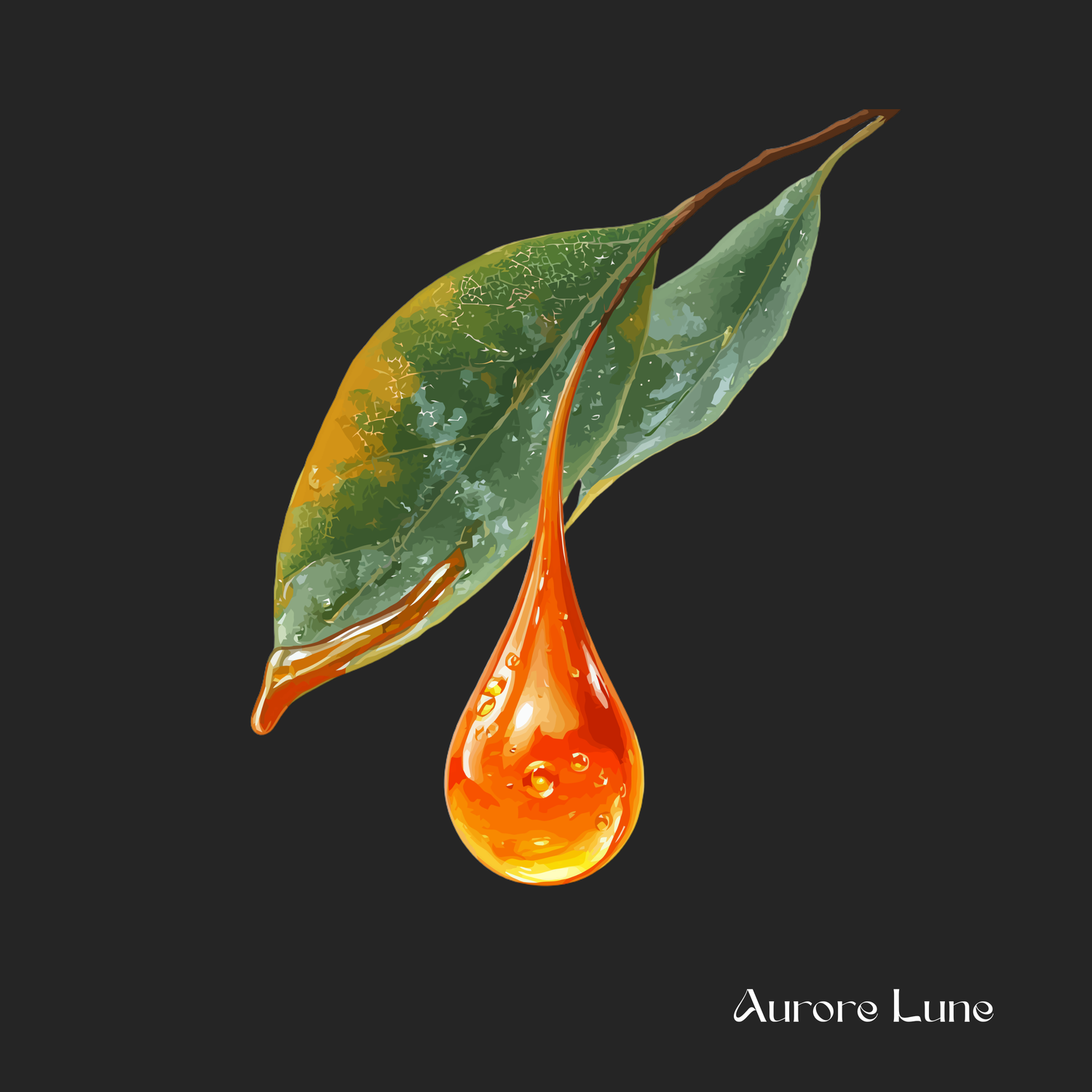Ambre