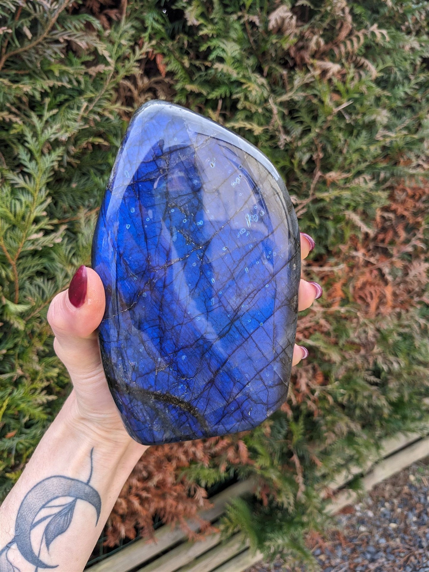 1 Labradorite bleue à poser 1.5 kg EXCEPTIONNELLE - Aurore Lune 