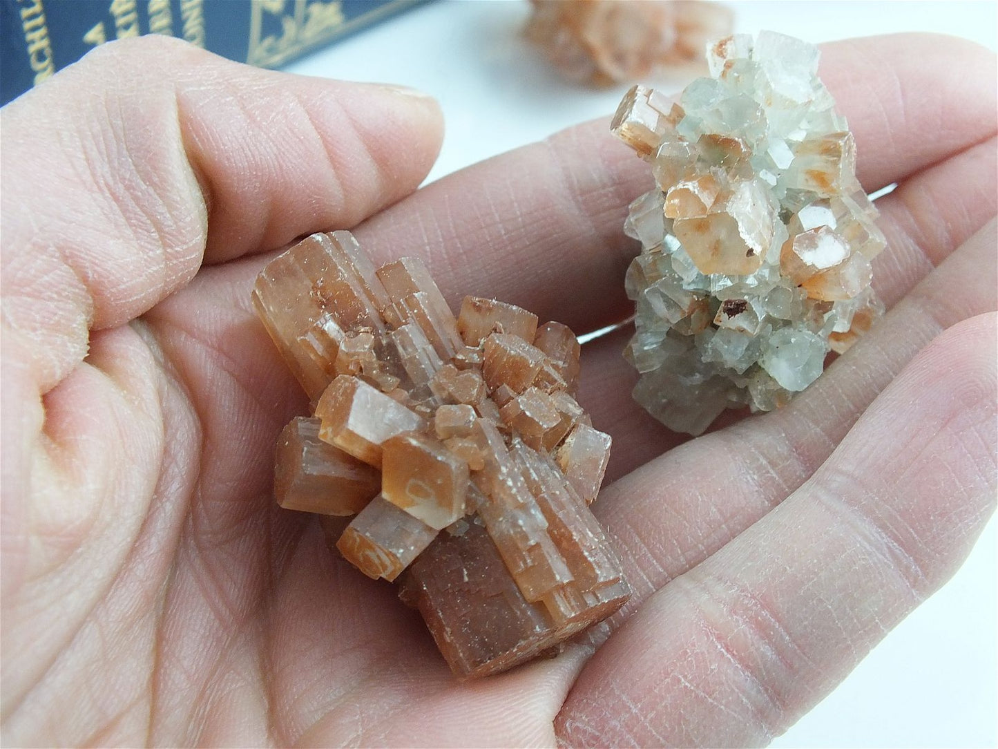 1 aragonite bicolore ou unie - Aurore Lune 