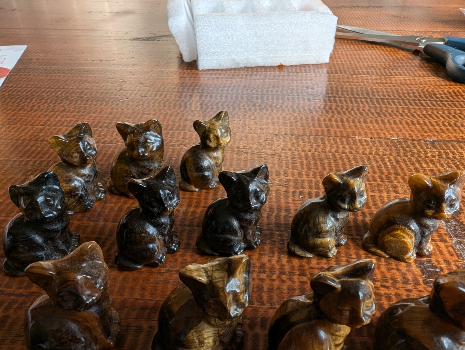 1 chat en oeil de tigre - Aurore Lune 