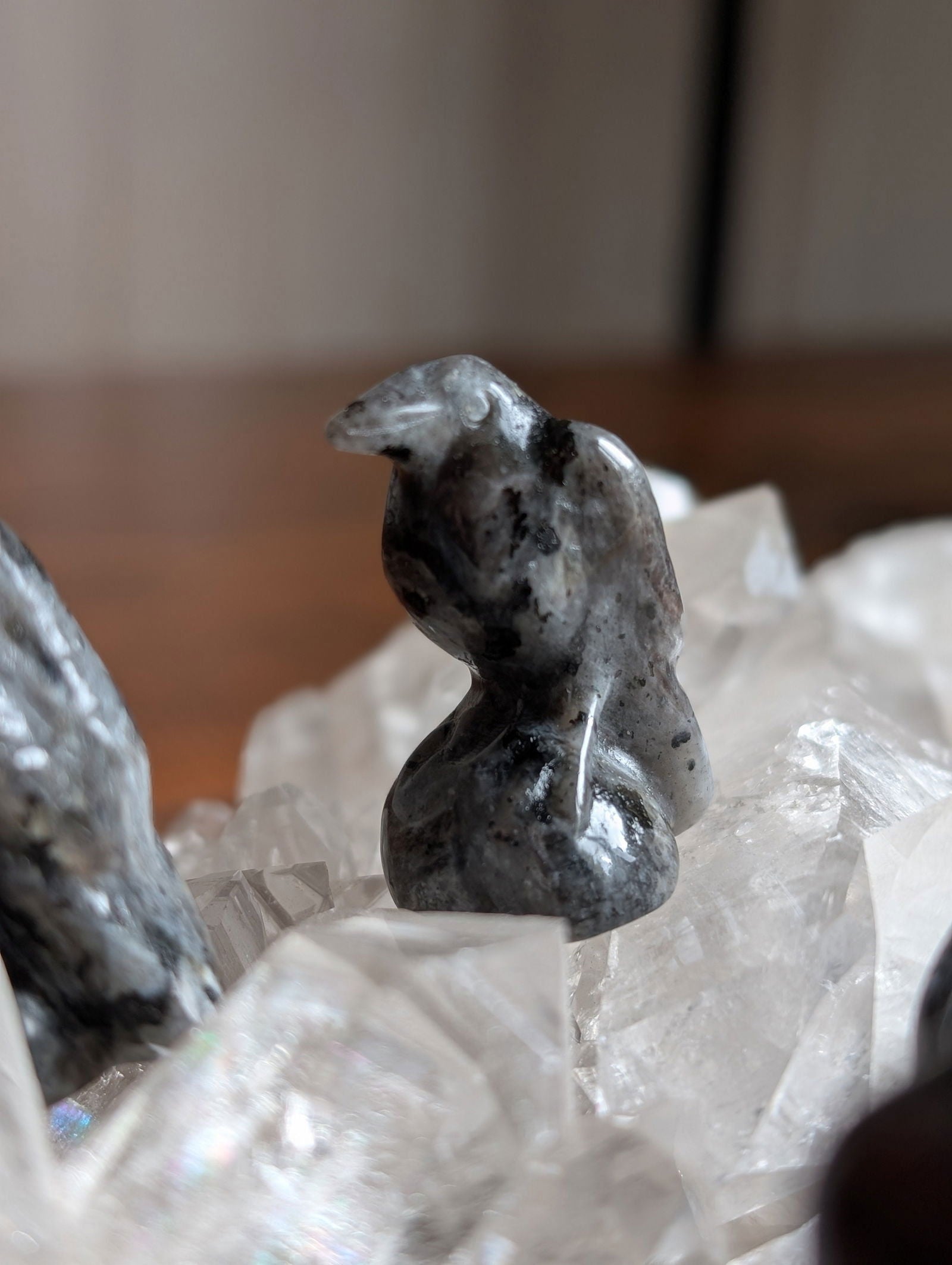1 corbeau en larvikite - Aurore Lune 