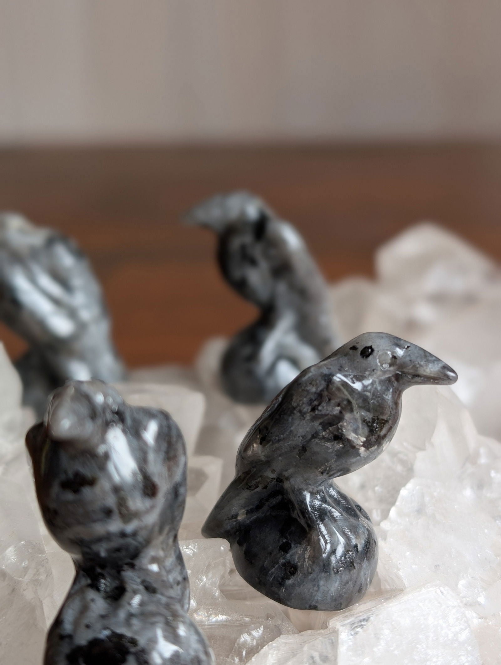 1 corbeau en larvikite - Aurore Lune 