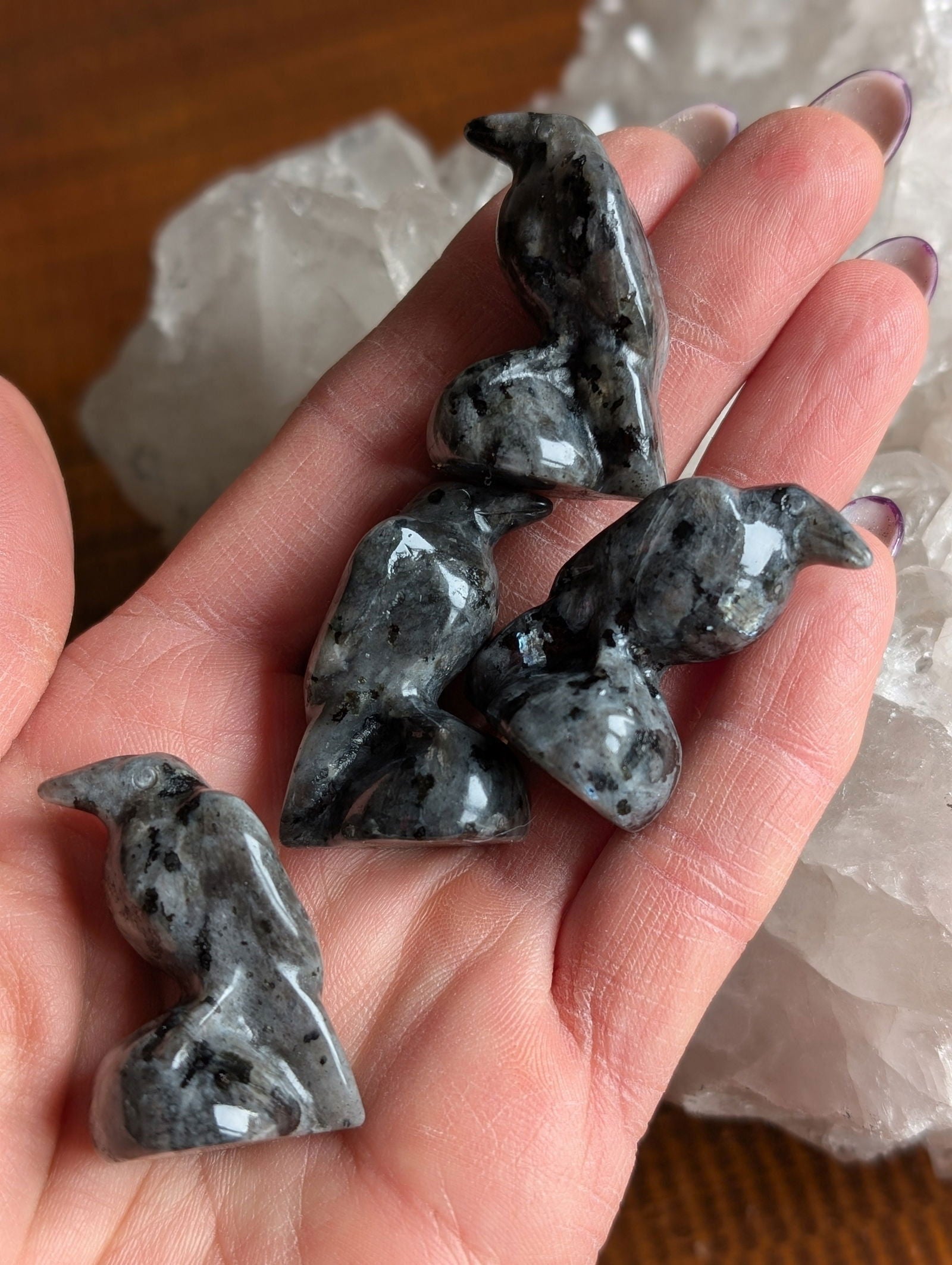 1 corbeau en larvikite - Aurore Lune 