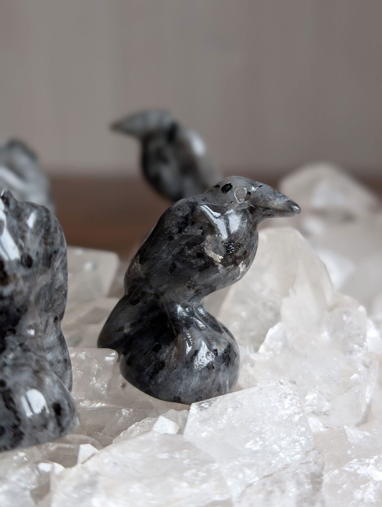 1 corbeau en larvikite - Aurore Lune 