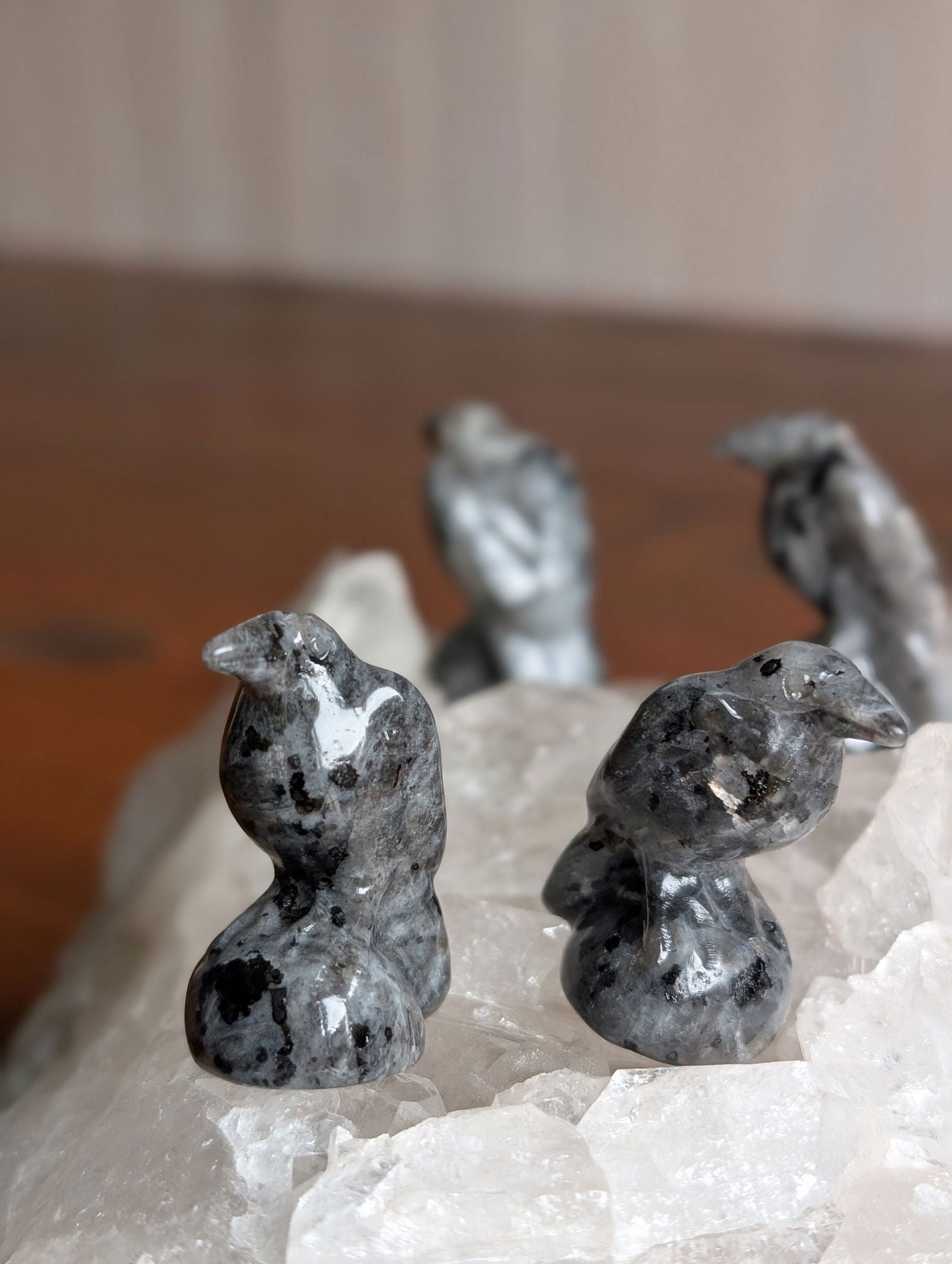 1 corbeau en larvikite - Aurore Lune 