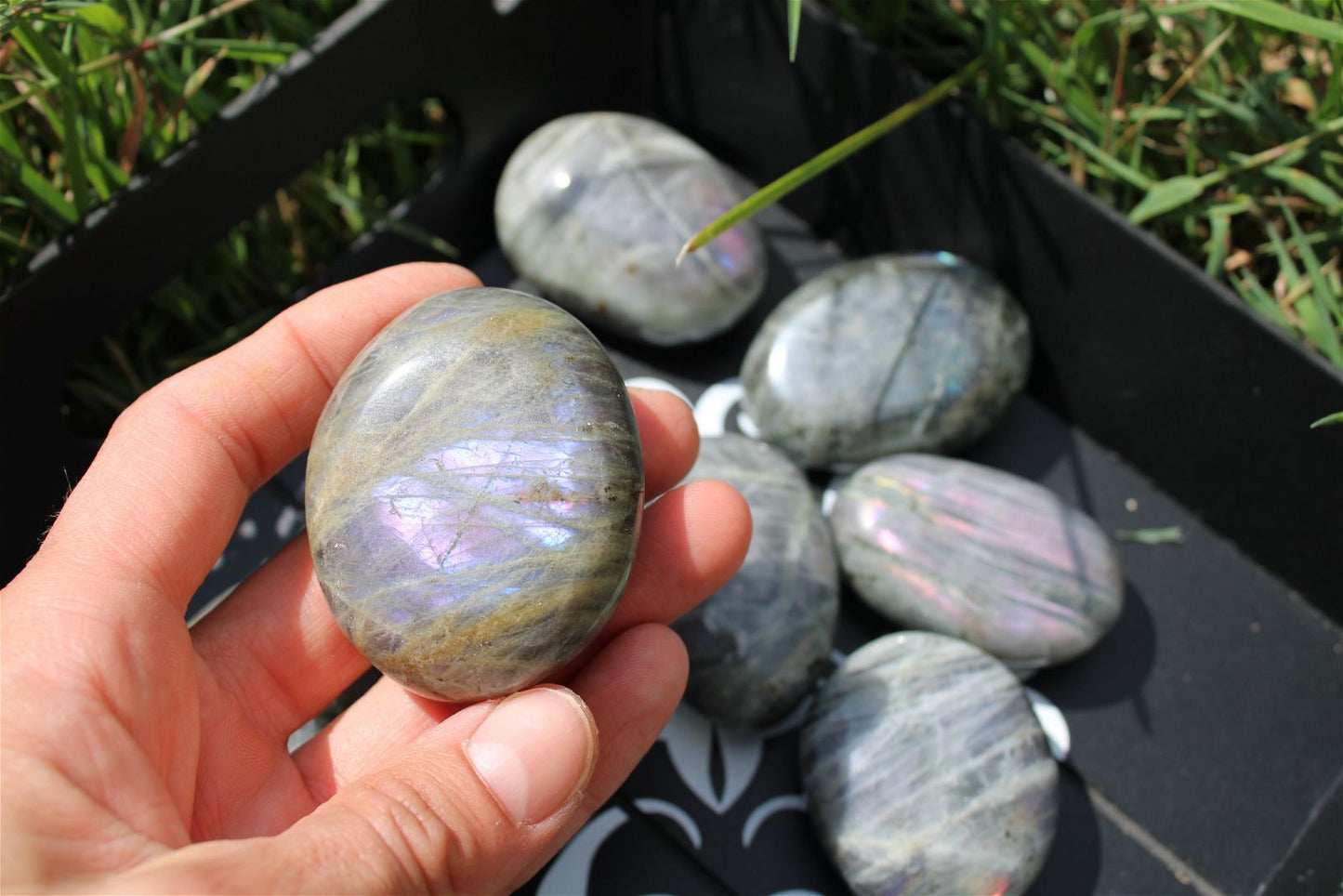 1 galet de labradorite violette - Aurore Lune 