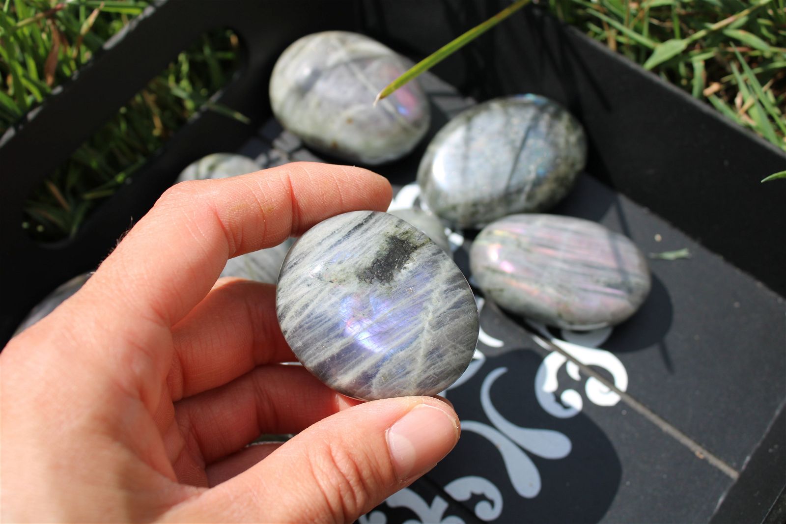 1 galet de labradorite violette - Aurore Lune 