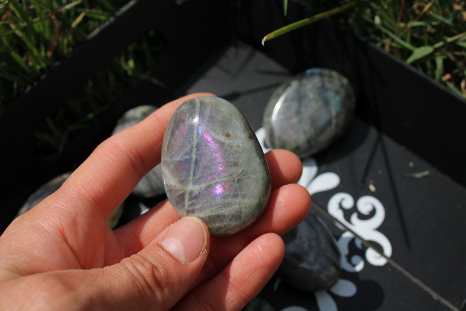 1 galet de labradorite violette - Aurore Lune 