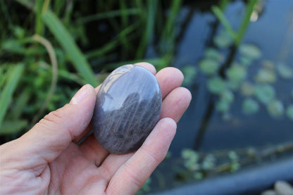 1 galet de quartz lavande - Aurore Lune 