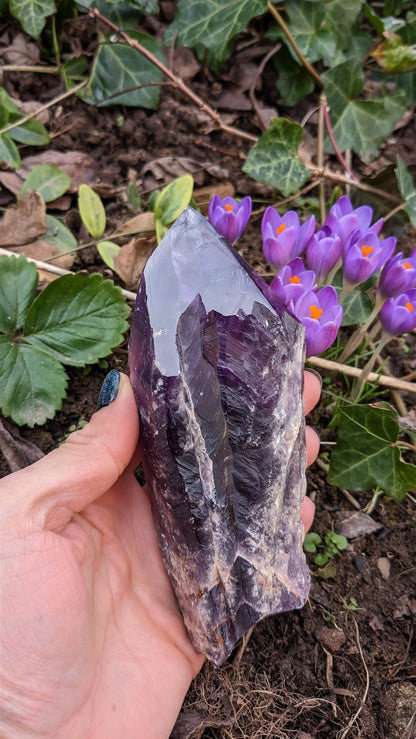 1 pointe brute d'améthyste qualité + 15 cm - Aurore Lune 