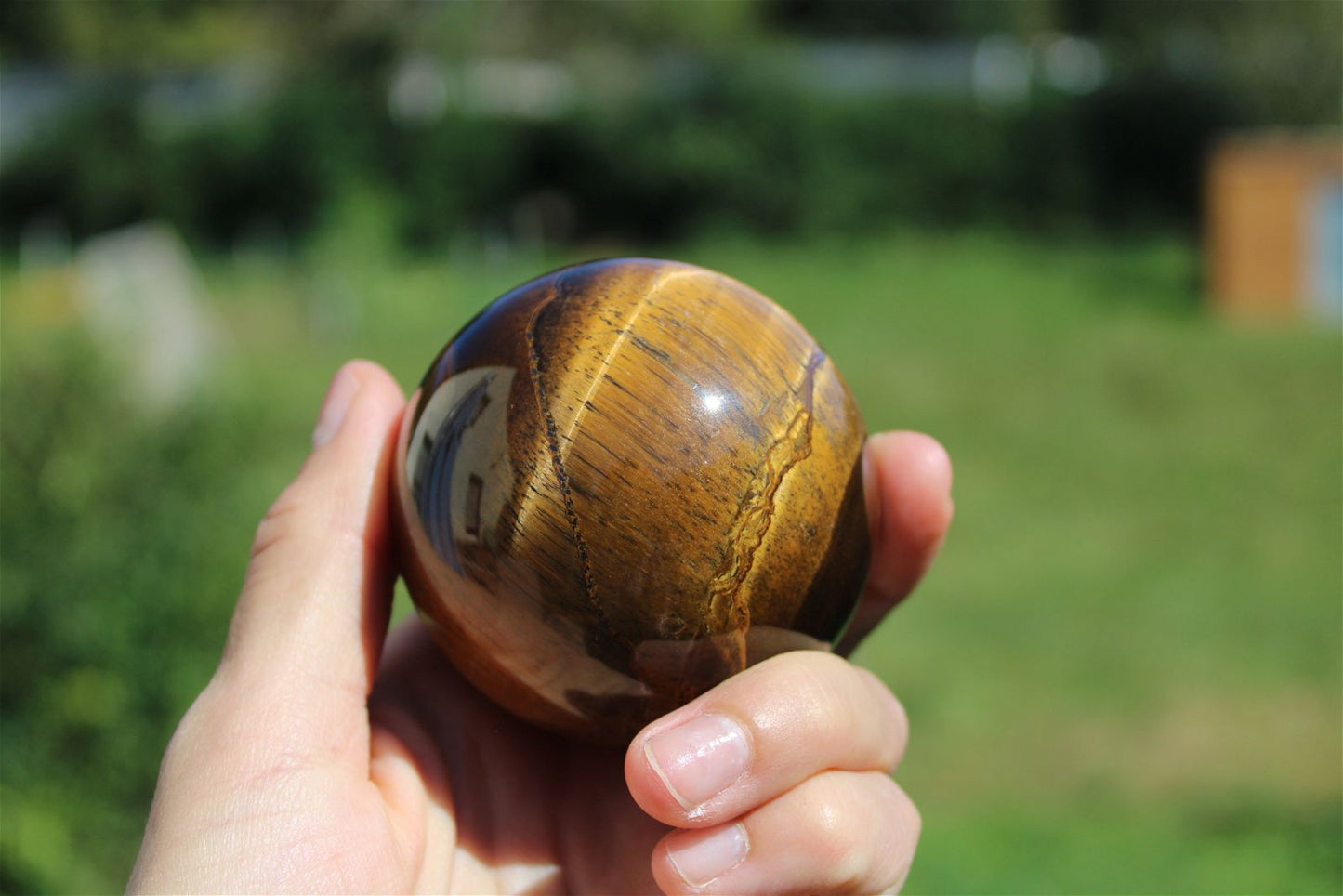 1 sphère oeil de tigre et support bois 6.5cm - Aurore Lune 