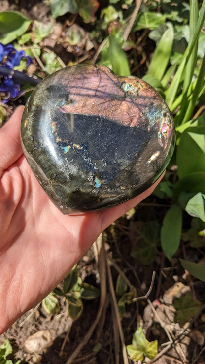 1 tres grand coeur en labradorite - Aurore Lune 