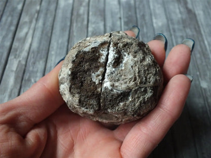 Agate forme noix de coco 1 morceau - Aurore Lune 