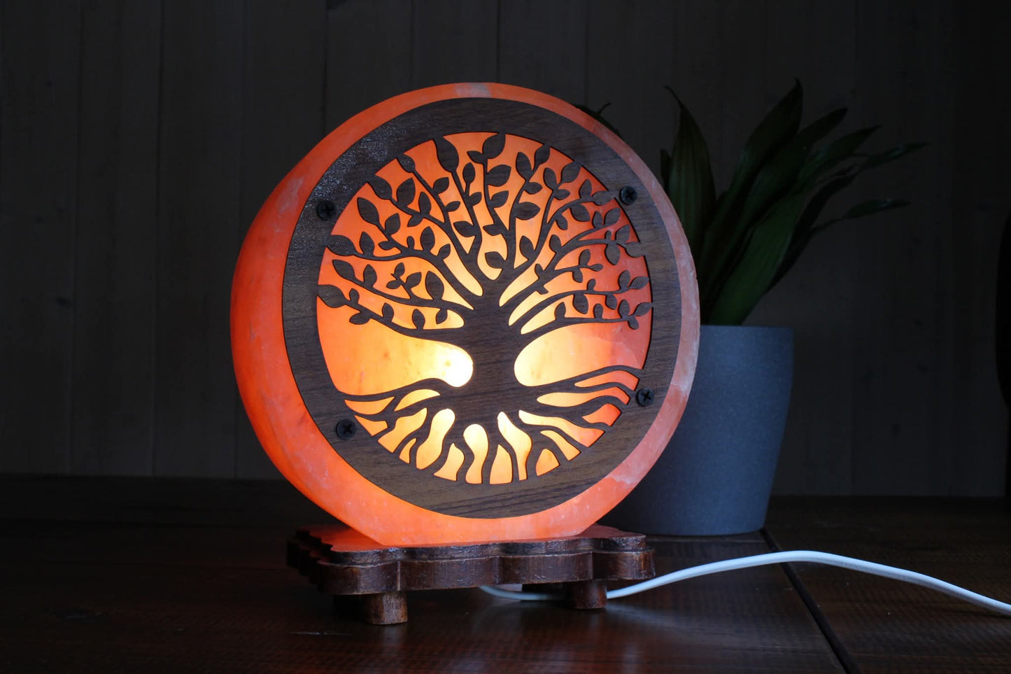 Lampe de sel arbre + câble et ampoule