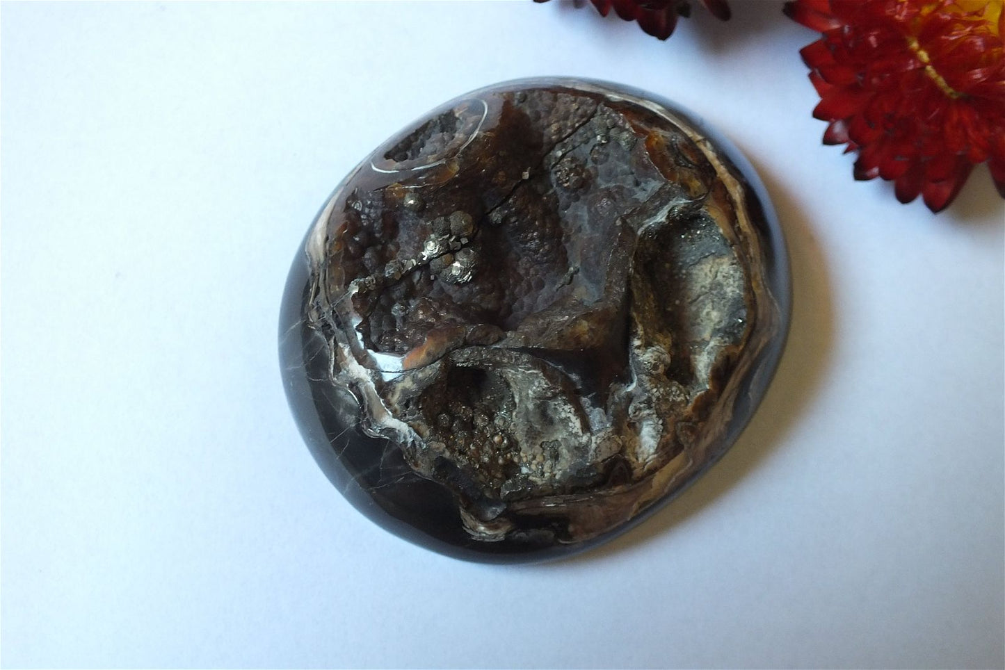 Géode d'ammonite 6 x 5.2 cm - Aurore Lune 