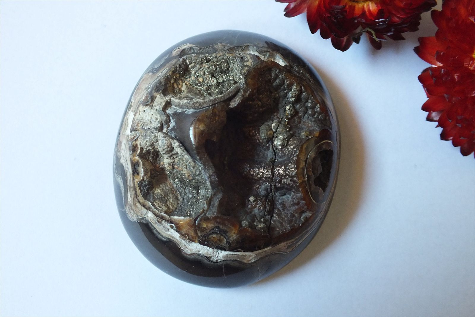 Géode d'ammonite 6 x 5.2 cm - Aurore Lune 