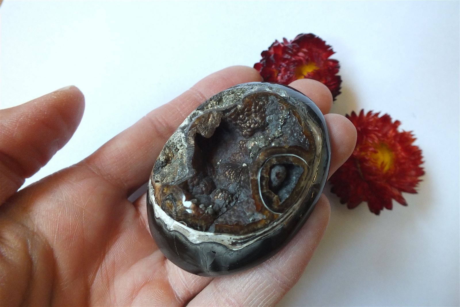 Géode d'ammonite 6 x 5.2 cm - Aurore Lune 