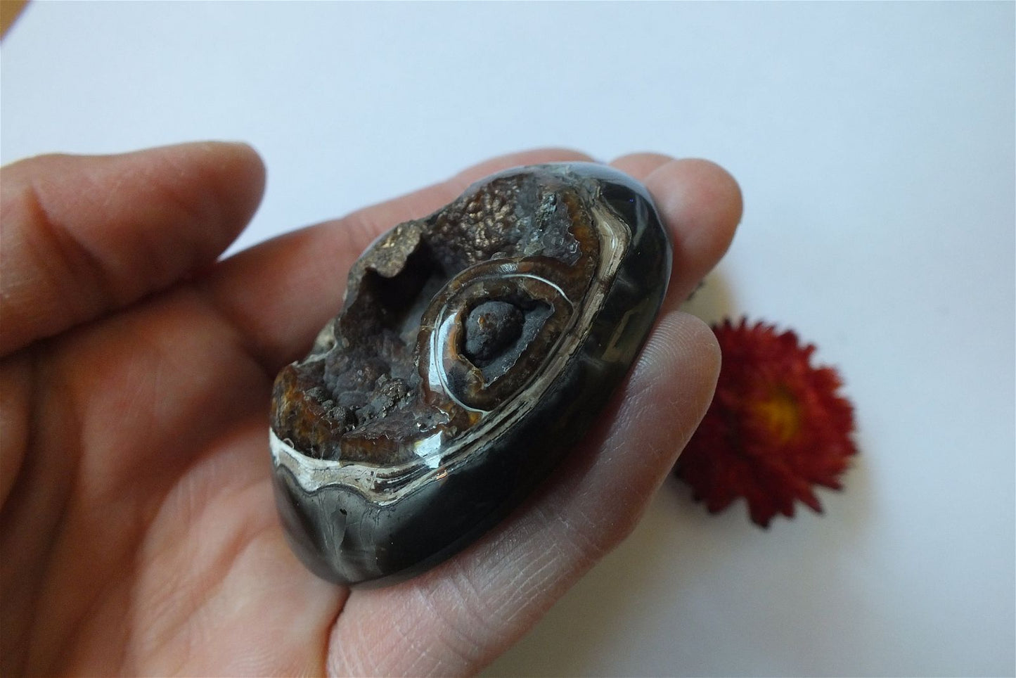 Géode d'ammonite 6 x 5.2 cm - Aurore Lune 