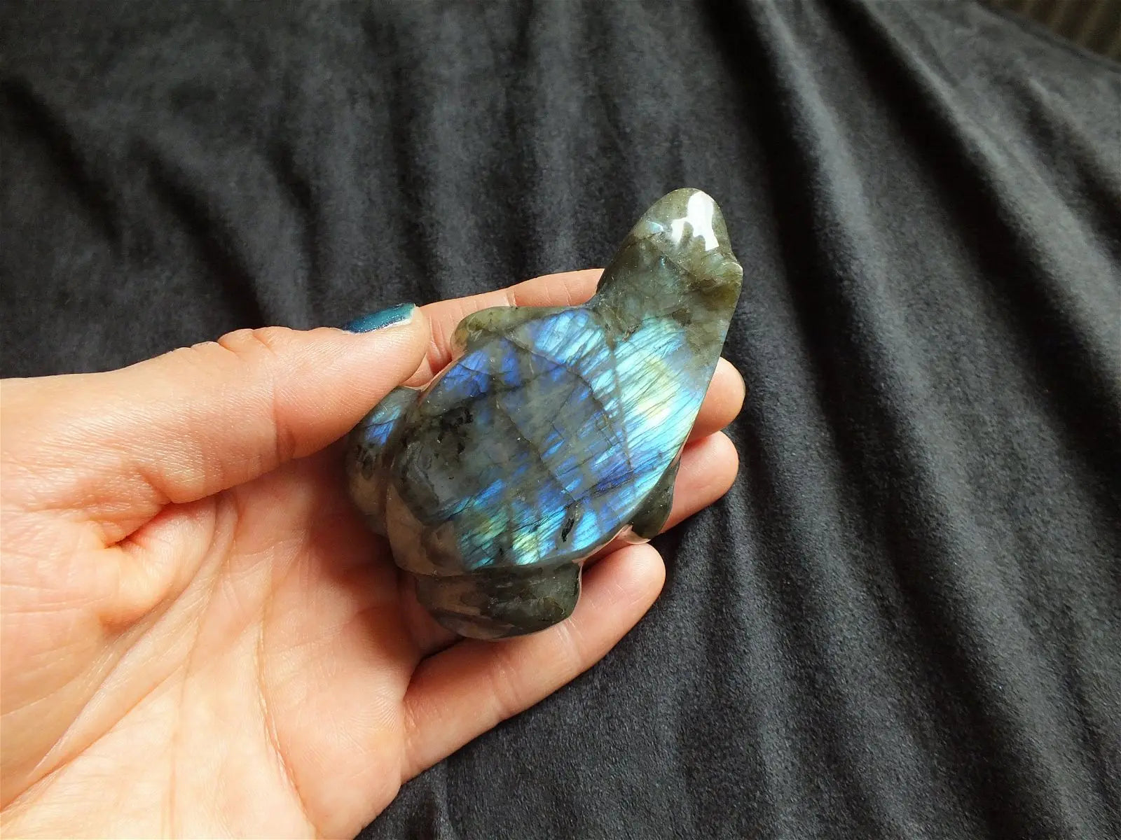 Grenouille ou crapaud en labradorite  A - Aurore Lune 
