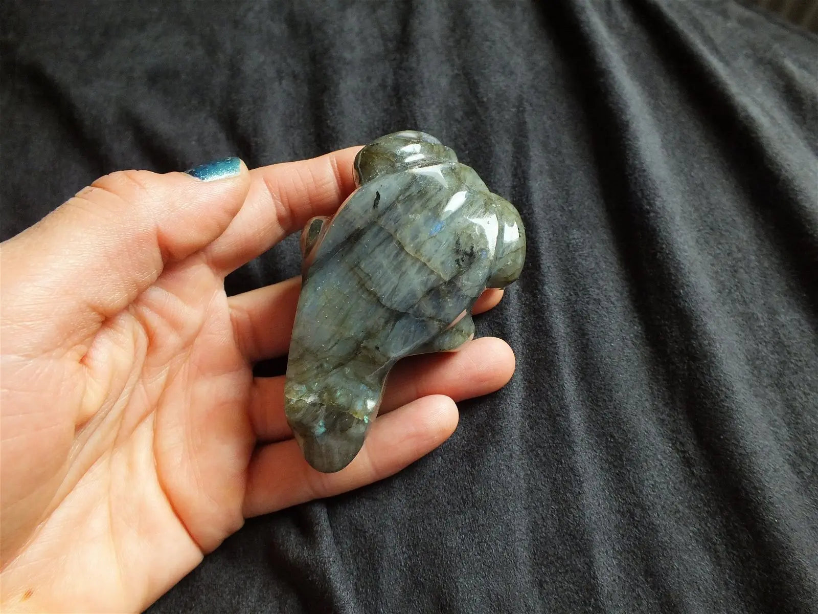 Grenouille ou crapaud en labradorite  A - Aurore Lune 