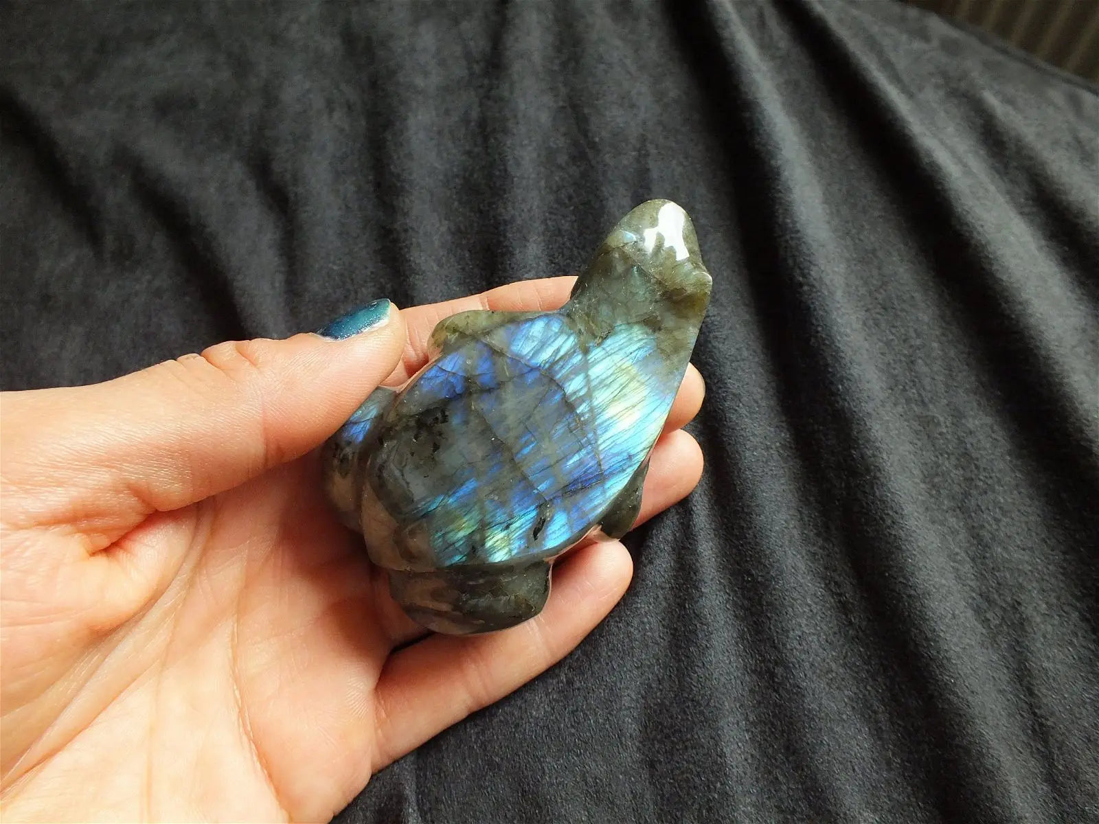 Grenouille ou crapaud en labradorite  A - Aurore Lune 