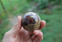 Charger la photo dans la galerie, Sphère en bois fossile 5 cm avec socle