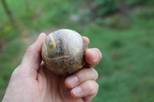 Sphère en bois fossile 5 cm avec socle