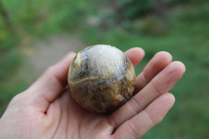 Sphère en bois fossile 5 cm avec socle