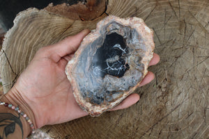 1 bois fossile à poser 12.5 cm