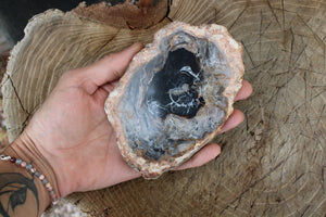 1 bois fossile à poser 12.5 cm