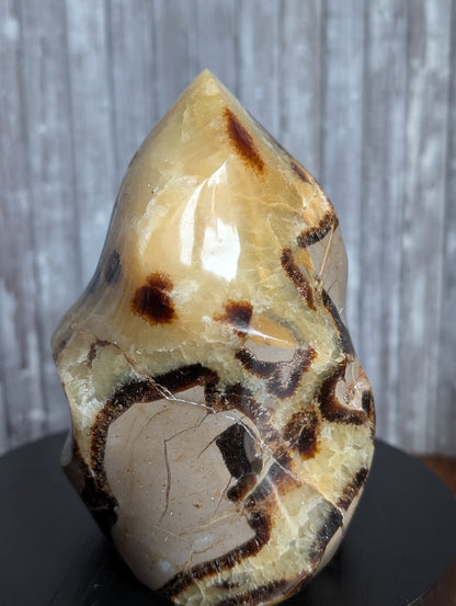 Septaria à poser 12 cm - Aurore Lune