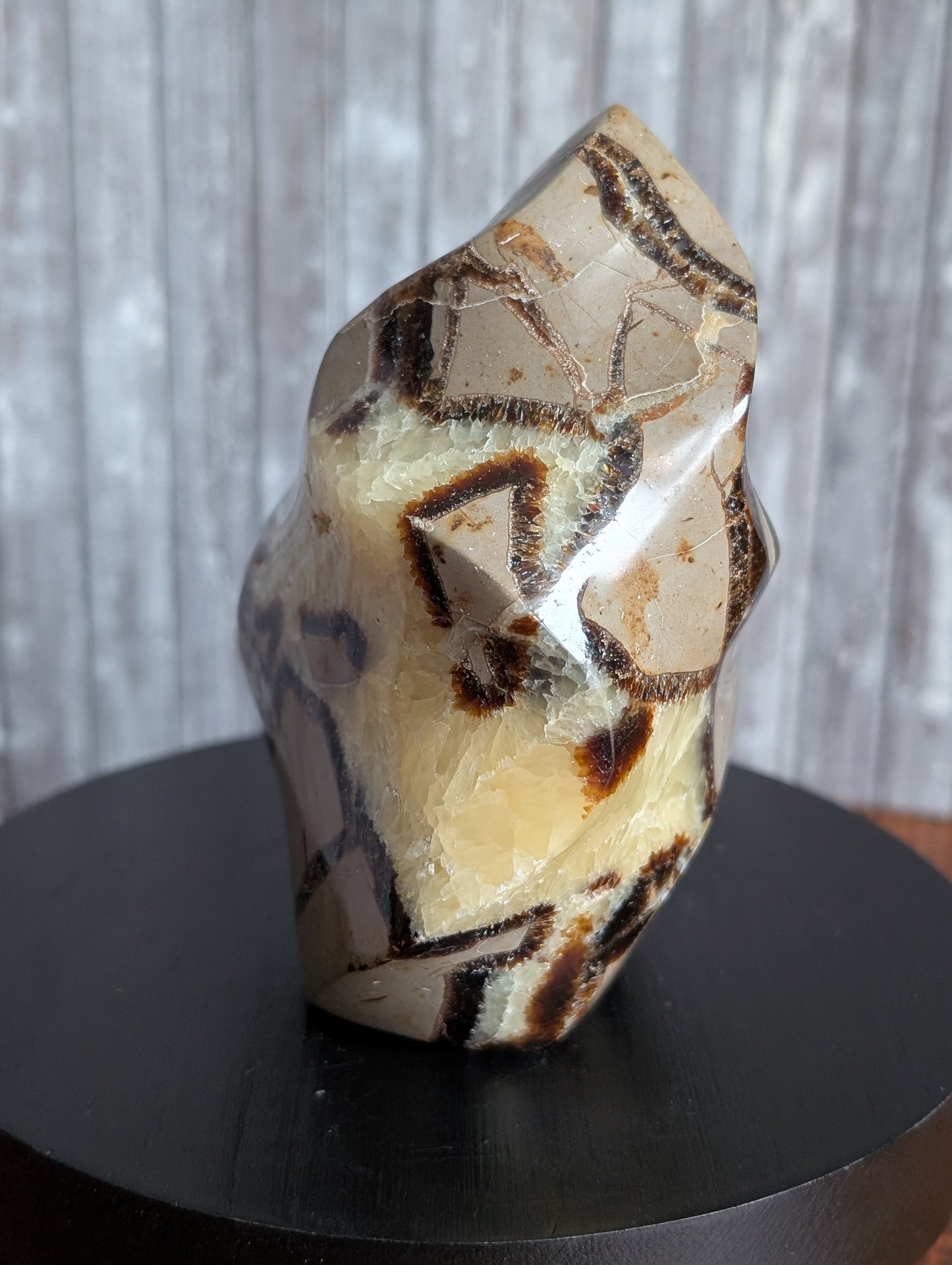 Septaria à poser 10 cm - Aurore Lune