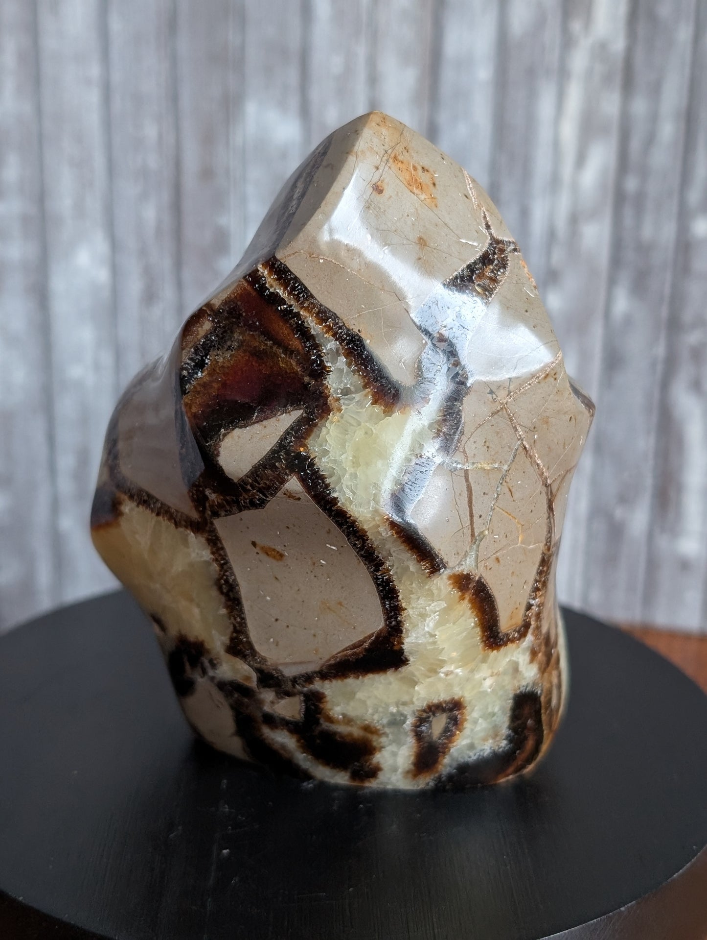 Septaria à poser 10 cm - Aurore Lune