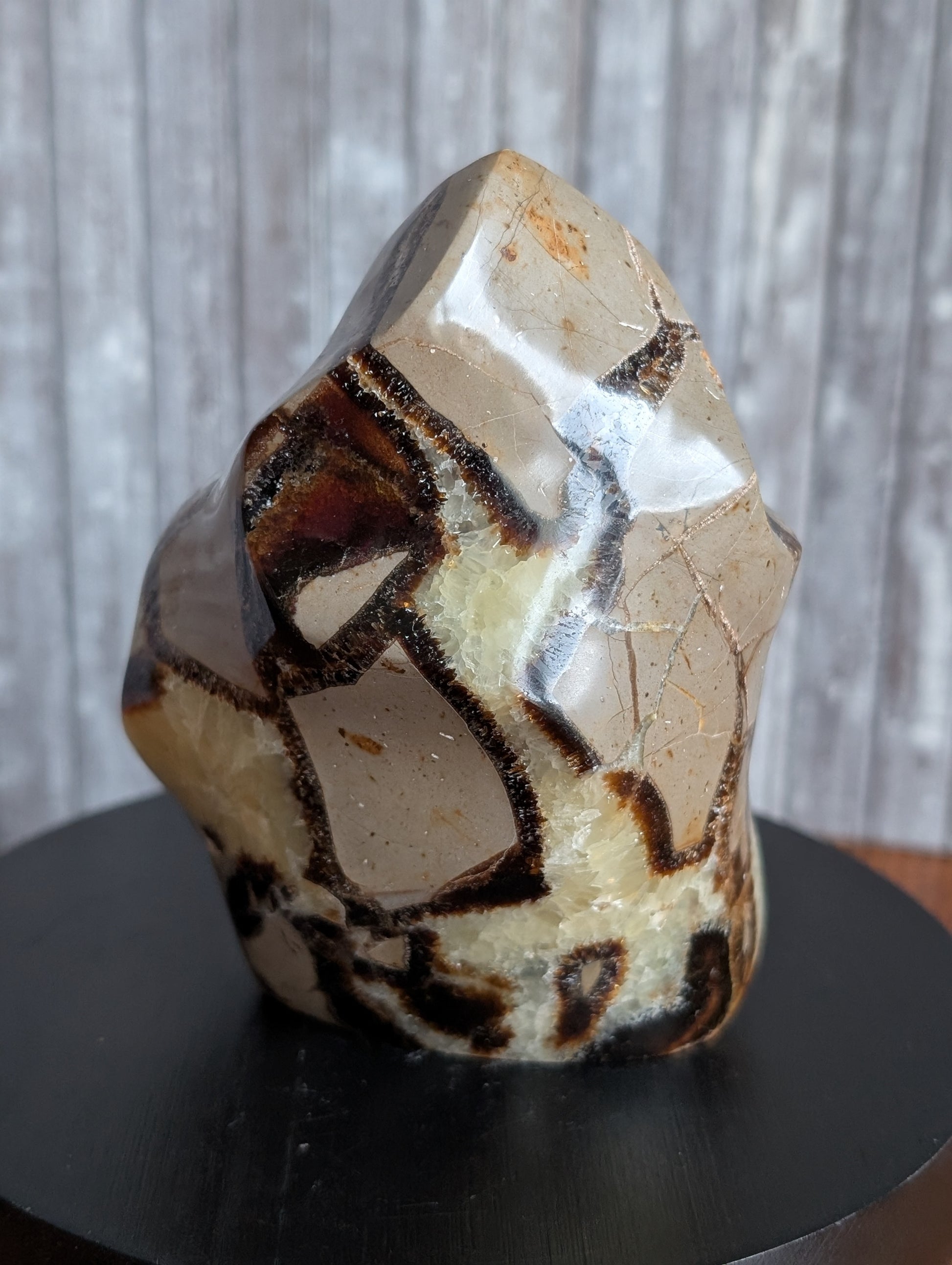 Septaria à poser 10 cm - Aurore Lune