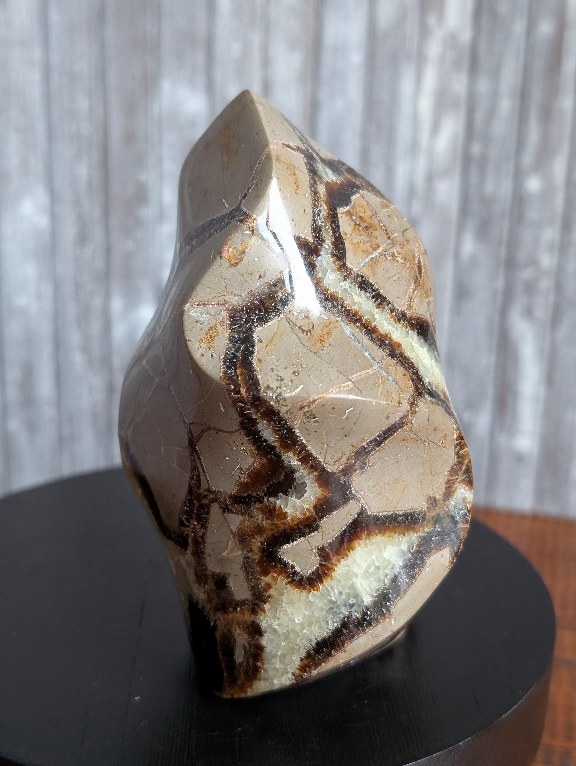 Septaria à poser 10 cm - Aurore Lune