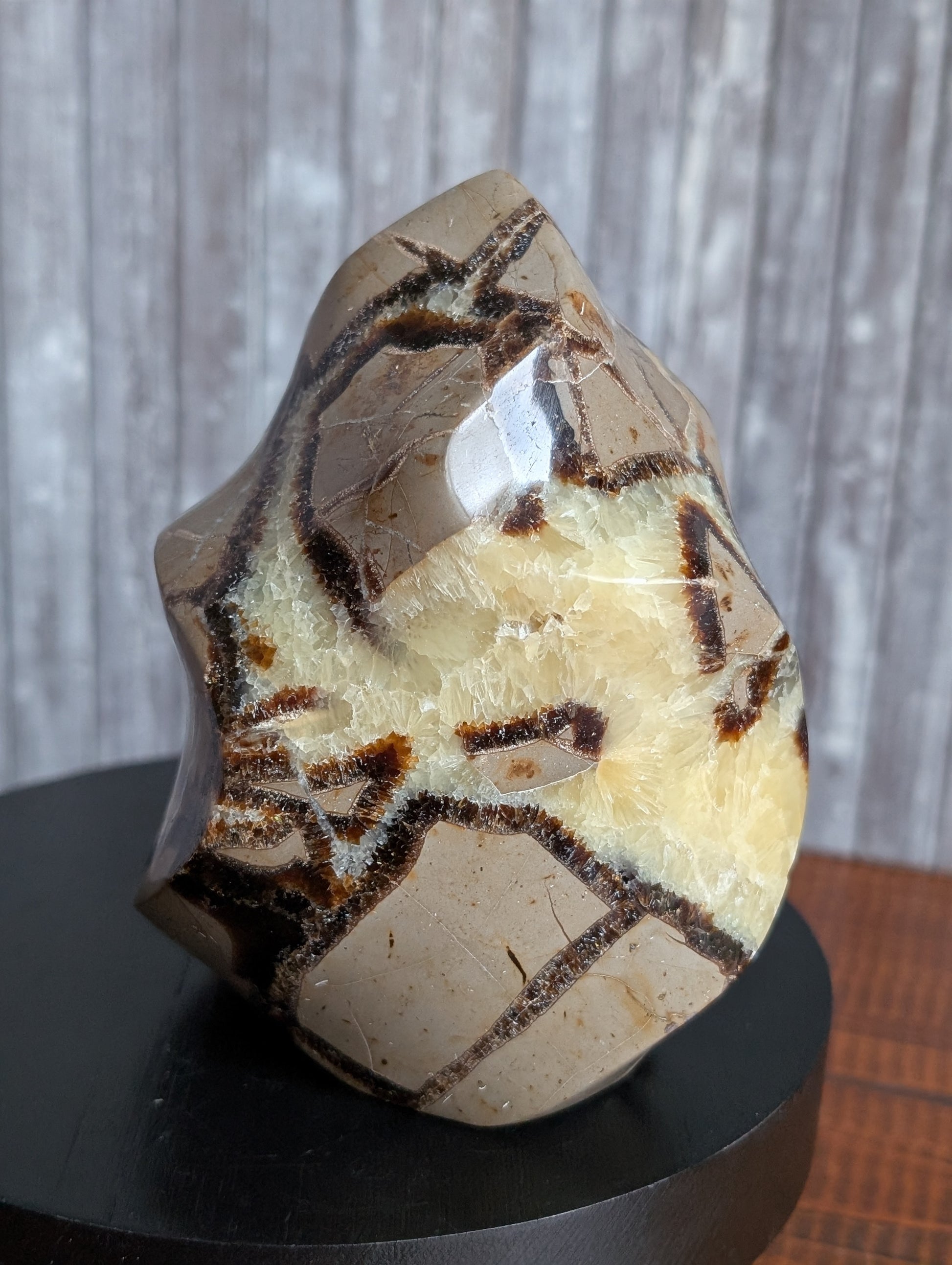 Septaria à poser 10 cm - Aurore Lune