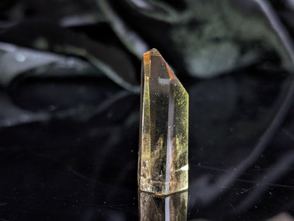 Pointe de citrine véritable - Aurore Lune
