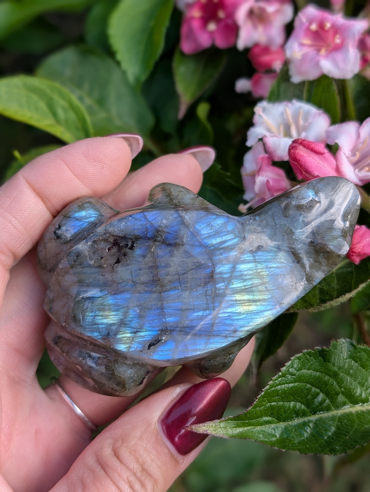 Grenouille crapaud labradorite